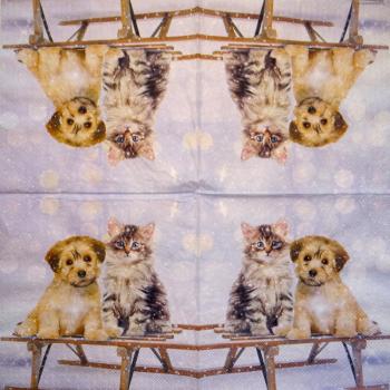 HUN-871 Hunde - 3-lagig - Ambiente